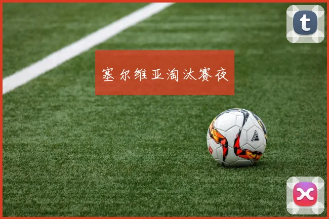塞尔维亚淘汰赛夜