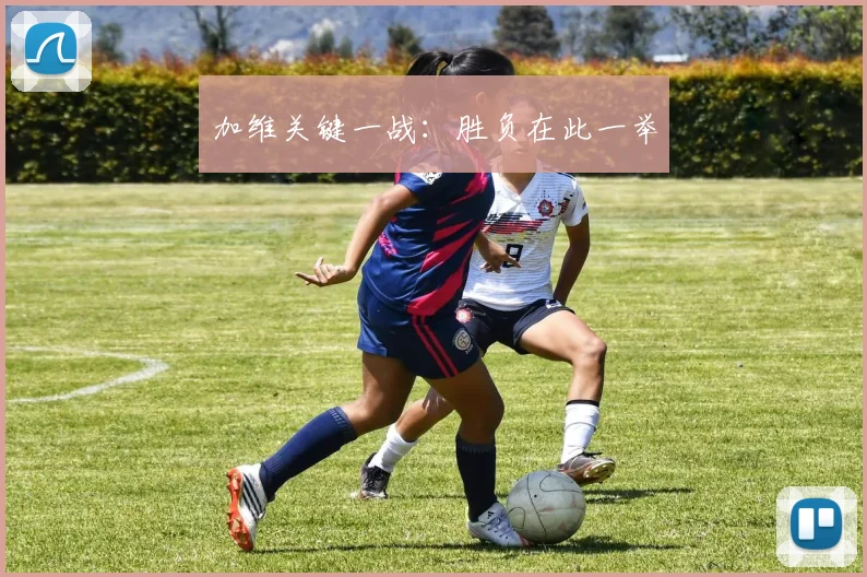 加维关键一战：胜负在此一举