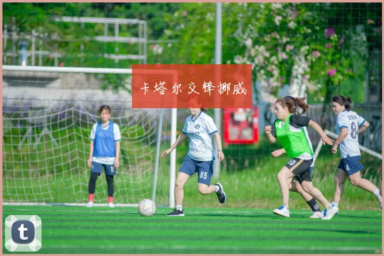 卡塔尔交锋挪威