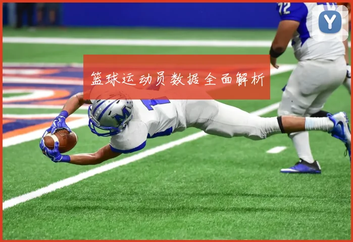 篮球运动员数据全面解析